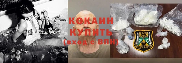 твердый Инта