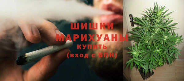 твердый Инта