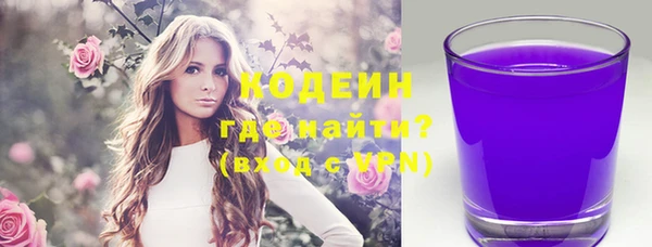 твердый Инта