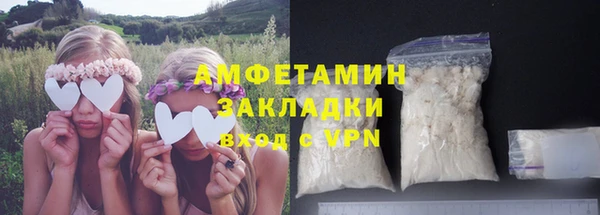 твердый Инта