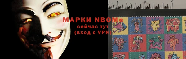 твердый Инта