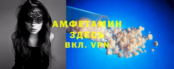 твердый Инта