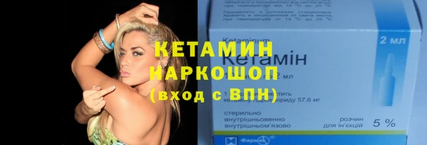 твердый Инта
