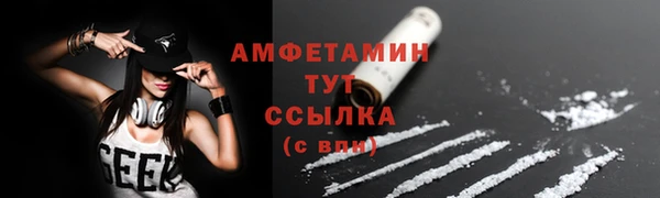твердый Инта