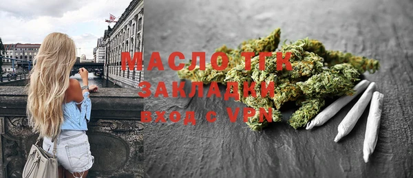твердый Инта