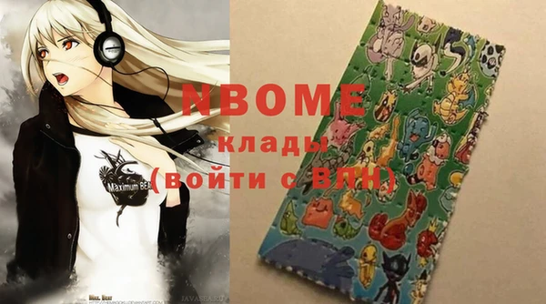 твердый Инта