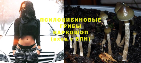 МДМА Инсар