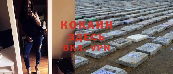 твердый Инта