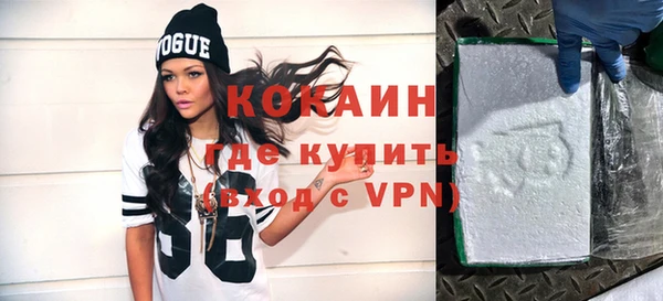 твердый Инта